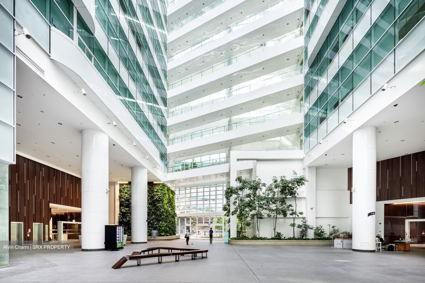 Solaris (D5), Office #440183981